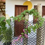 Sol Suites Caraiva